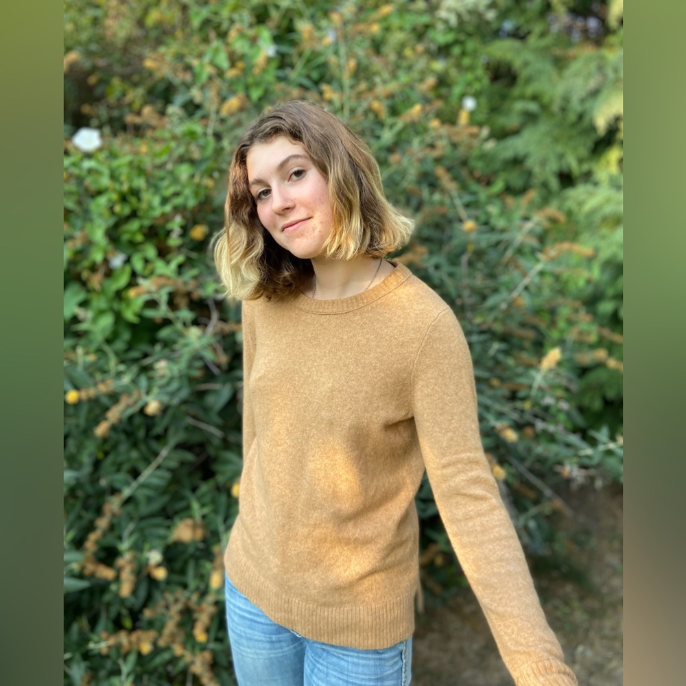 J.crew brown sweater